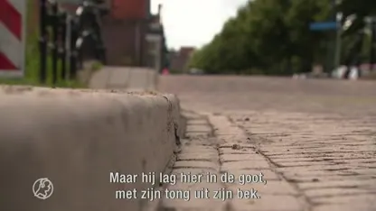 Berdien zag hoe haar chihuahua Foxy werd doodgebeten door een losgebroken mastiff