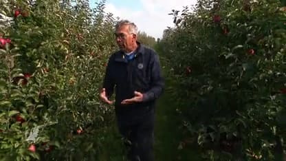 Boer Herman zit met appels in zijn maag: 'Dit is een bittere pil'