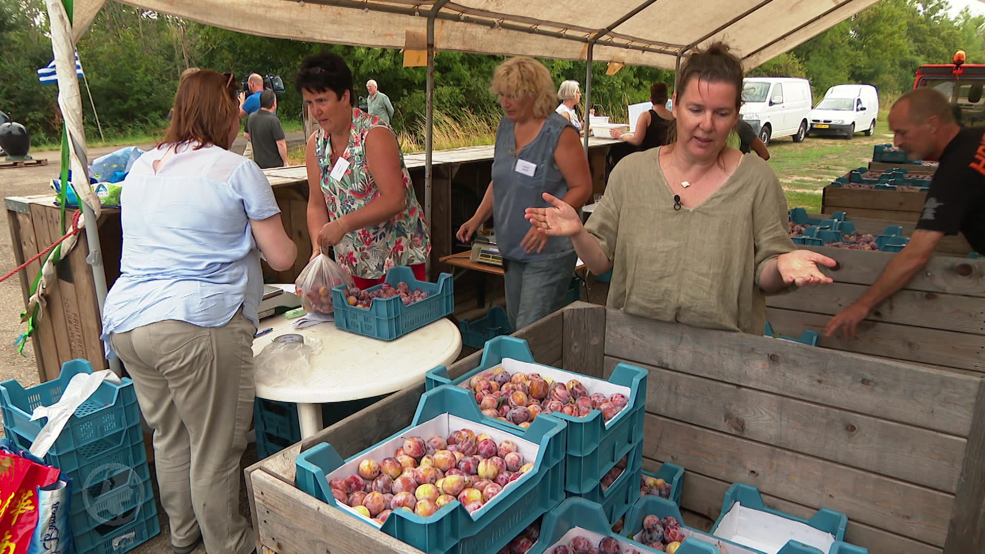 Kleine pruimen vinden gretig aftrek in Wemeldinge