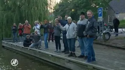 Dag 2: 11Stedenzwemtocht