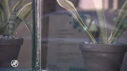 Petitie om dagbesteding Oudewater open te houden