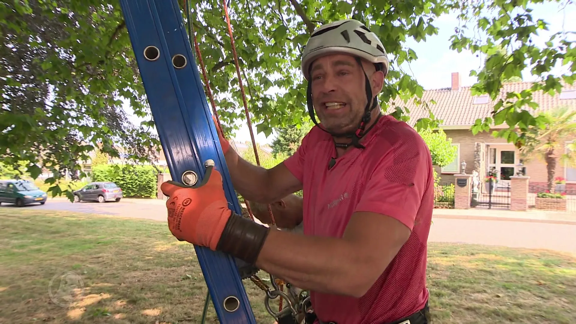 Gehandicapte Richard kan weer de boom in