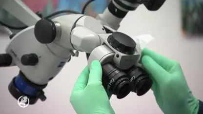 Mondzorg op instorten door corona: 'Honderden tandartsen binnen paar maanden failliet'