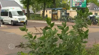 Automobilist rijdt in op vierdaagselopers, raakt verkeersregelaar met zijspiegel