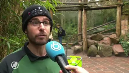 Kerstbomen de deur uit, maar waarheen?