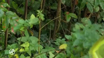 Zwerfafval een doorn in het oog? Maak je straat groen!