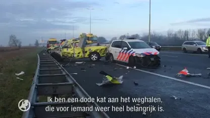 Weginspecteurs zijn leven niet zeker: wekelijks ernstige incidenten