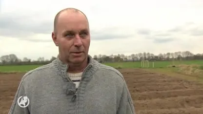 ‘Oogsten witte asperges loont niet meer’