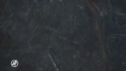 Branden in Amazonegebied: bijna helft Nederlanders voor boycot Braziliaanse producten