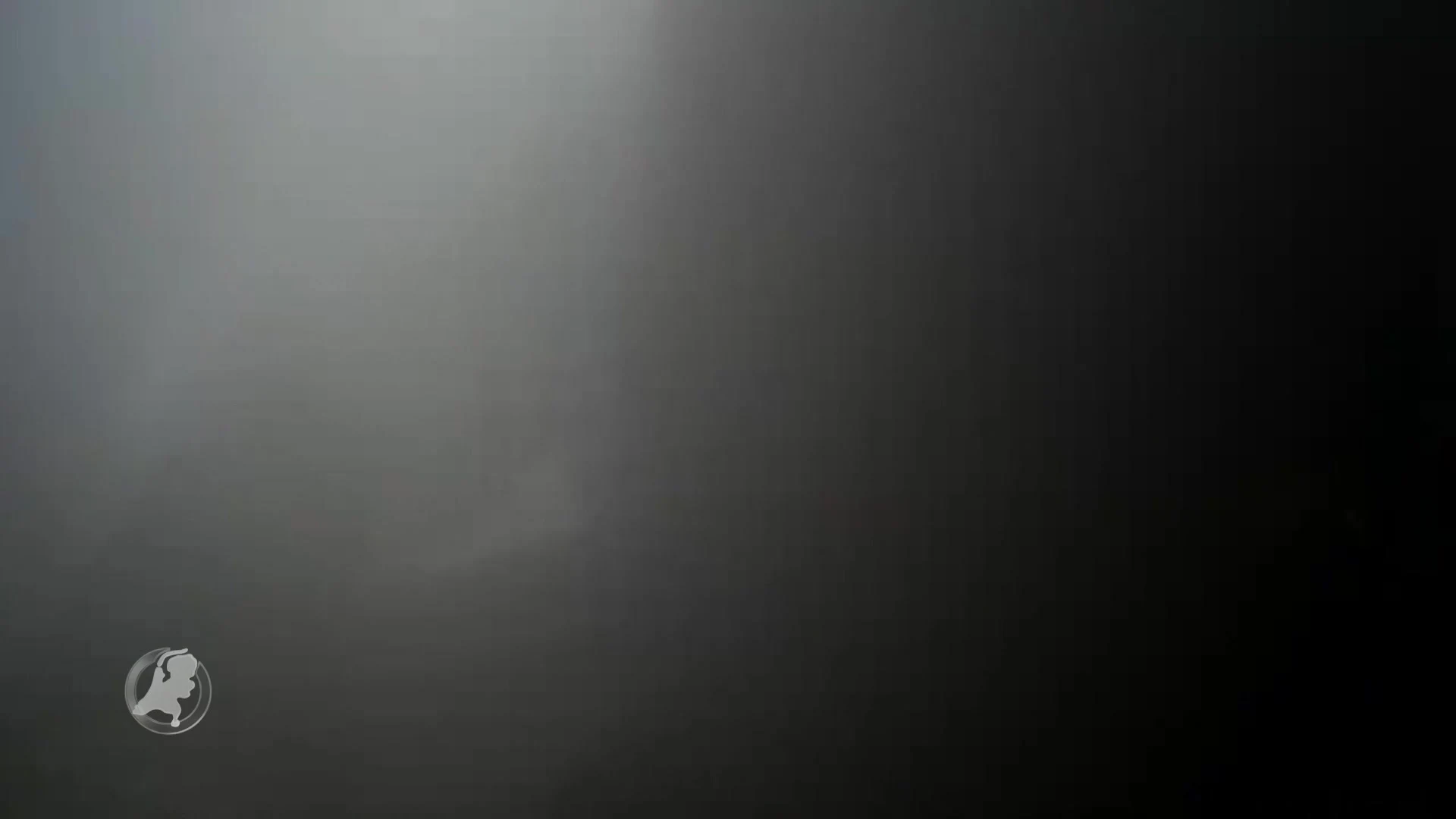 Indrukwekkend: brandweer Vlaardingen redt honden uit brandend pand