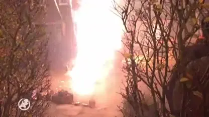 Hond Üllie schrikt zich dood door knalvuurwerk