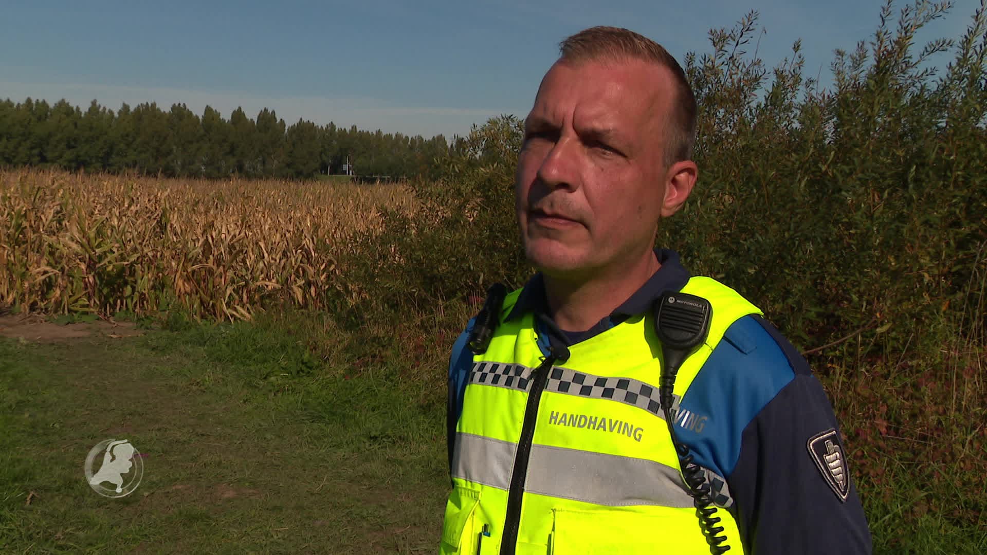 Gemeente Moerdijk maakt maisvelden schoon waar vluchtelingen overnachten