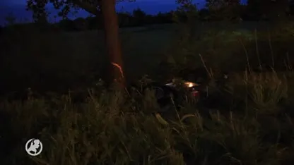 Vrouw (54) overleden na noodlottig ongeval in Lierop