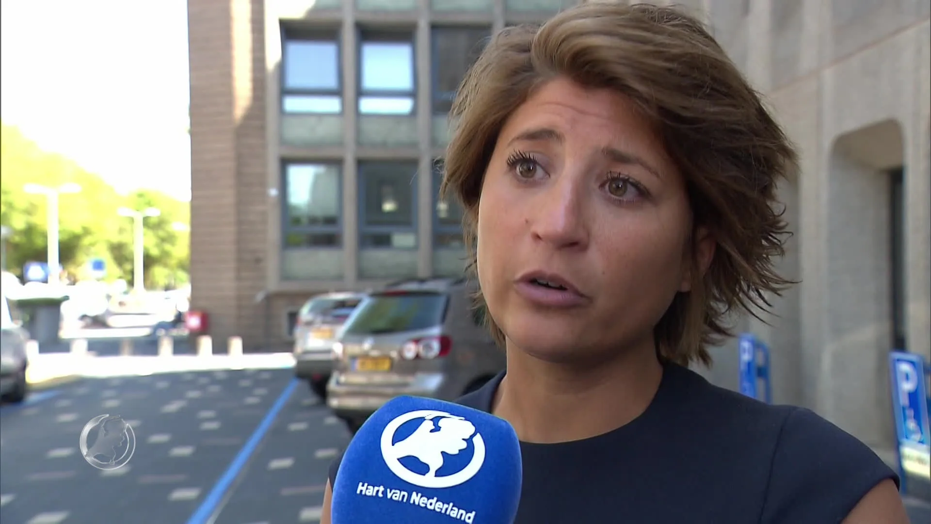 OM eist celstraf en taakstraf in groomingzaak Alan V.