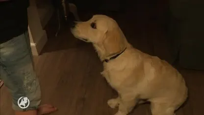 Gebruikers bang voor oplichting door crowdfundingsite: 'Het geld is heel hard nodig'