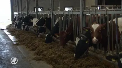 Boeren worden bedreigd