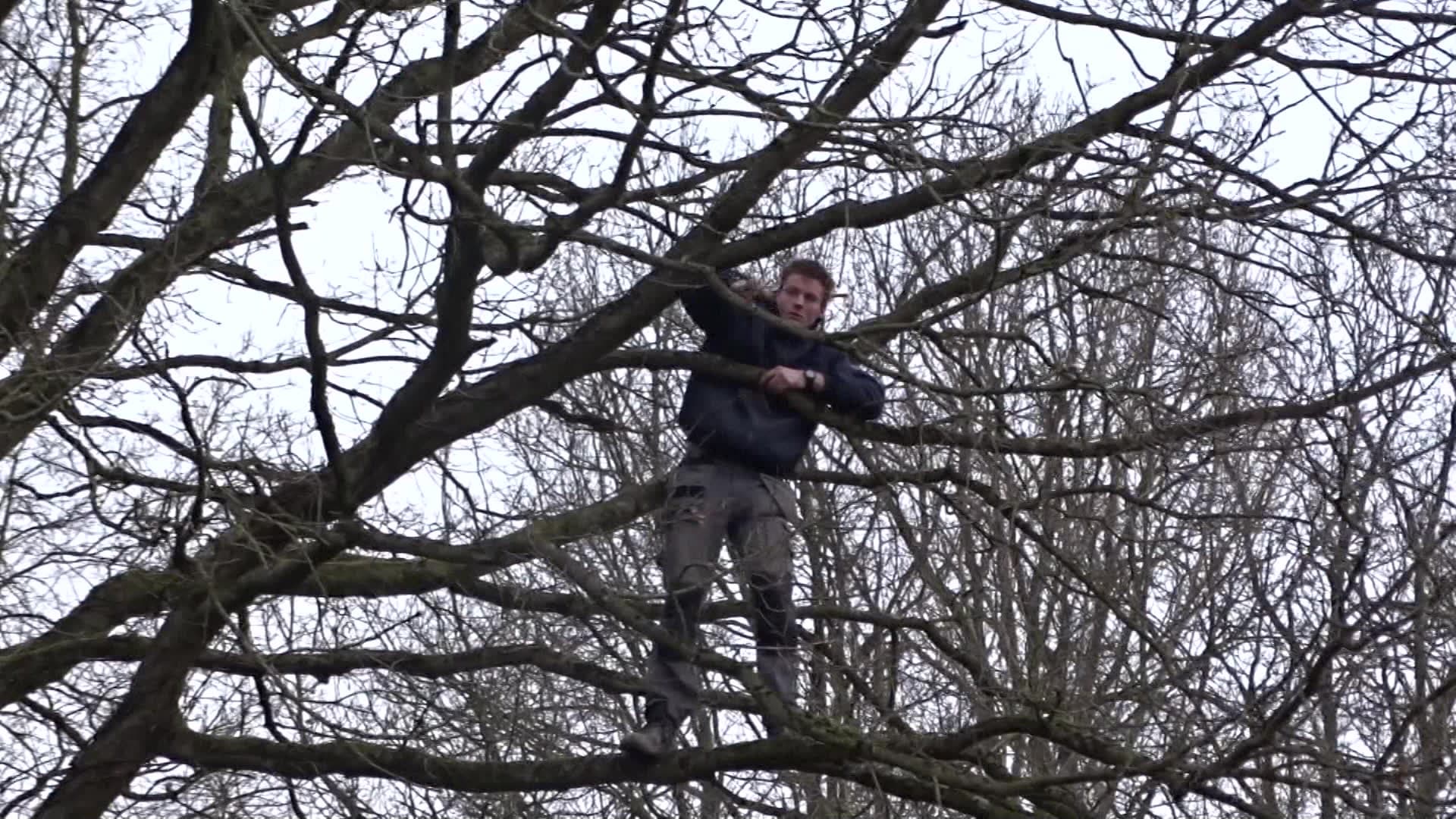 Om te voorkomen dat de Vlaamse gaai in het water zou vallen stonden de medewerkers van de dierenambulance klaar om het diertje op te vangen.