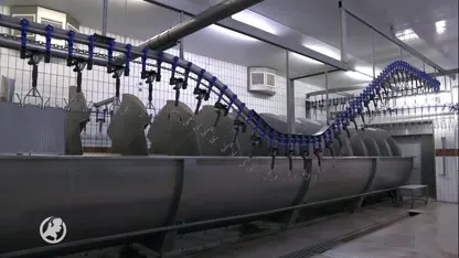 Vleesverwerkingsbedrijf Vion wil alle medewerkers herhaaldelijk preventief laten testen