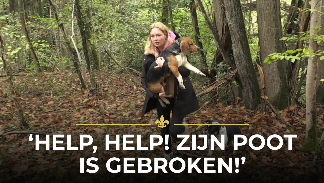 Maxime redt ernstig gewonde hond!