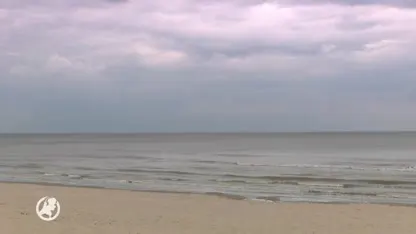 Groen licht voor windparken aan de kust, genadeslag voor bezwaarmakers