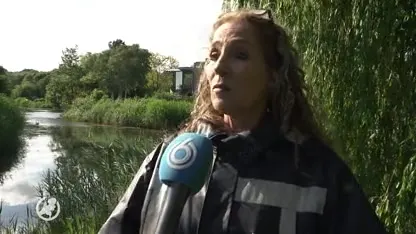 Grote zorgen over roof babyzwaantjes uit nesten in Lelystad: 'De daders moeten zich schamen'