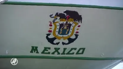 Eerste Sail op Scheveningen trekt veel publiek