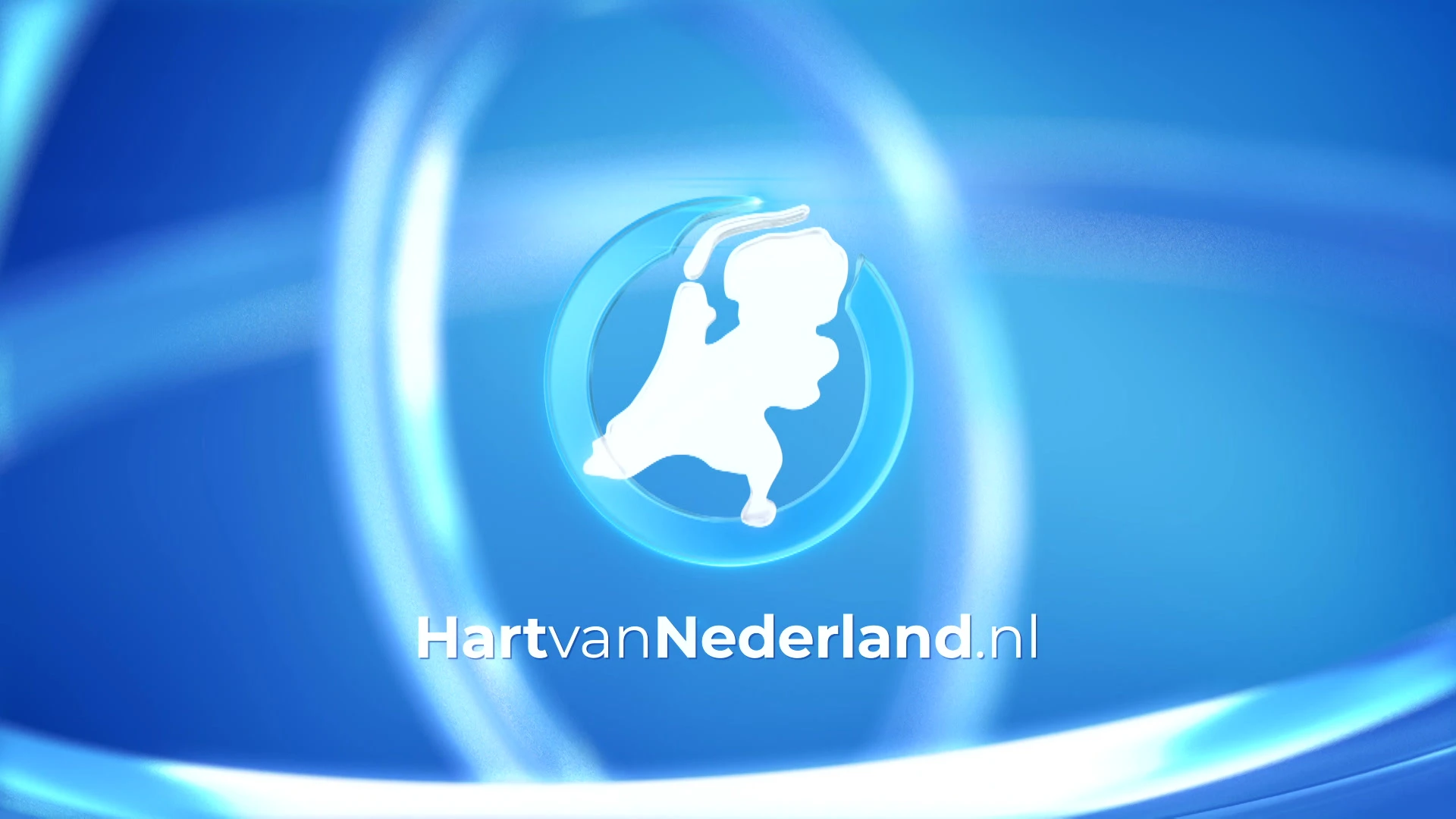 Kitten Phoenix gered uit brandende caravan in Ritthem