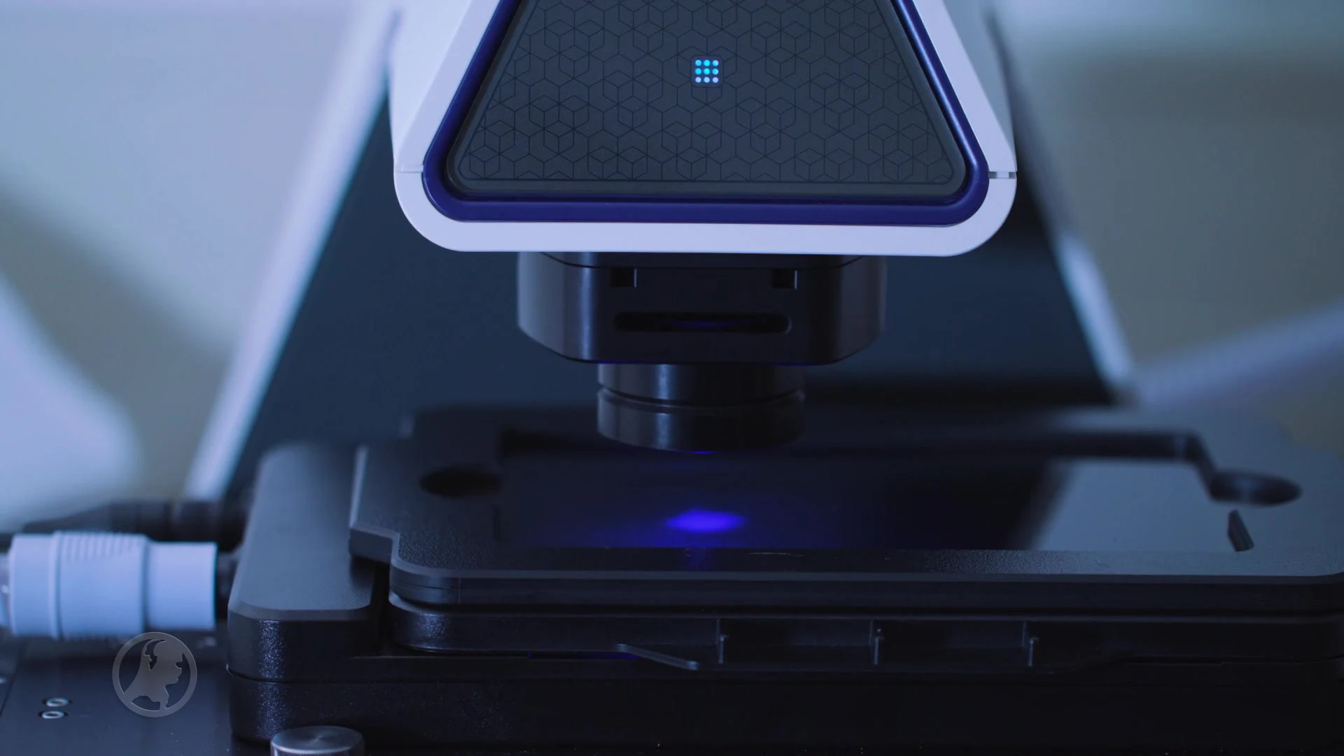 Wat vindt Nederland: embryo zonder ei of zaadcellen, gaat dat te ver?