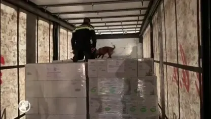 Politiehond Nolan vindt vier vluchtelingen in vrachtwagen