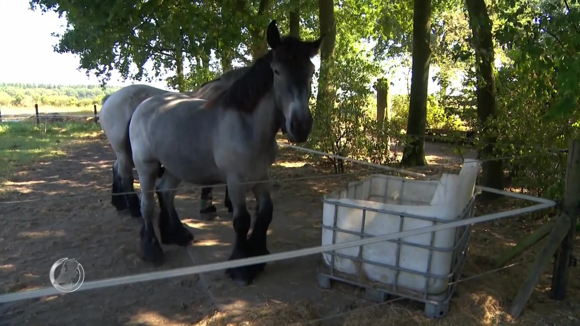 Buurman seksboerderij De Kiel: 'Deze club was echt een begrip'