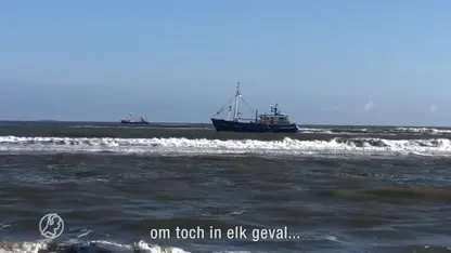 Strandbezoekers Ameland vol lof over inzet garnalenvissers bij vermist 14-jarig meisje