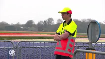 Opnieuw drukte bij de bollenvelden ondanks herhaaldelijk advies niet te komen