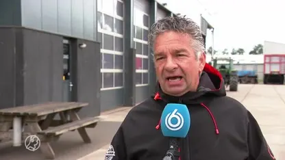 Ondernemers wanhopig door schijtende meeuwen