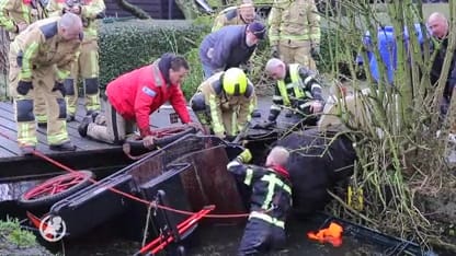 Paarden te water Schipluiden