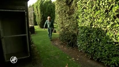 Vogeleigenaar Henk witheet van woede na diefstal zeldzame vogels