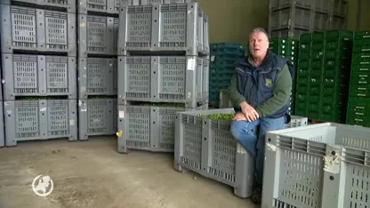 Nederlandse spruitjes razend populair in het buitenland