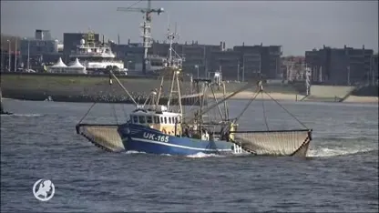 Duikers die lichamen uit Urker kotter borgen: 'Je kunt je er nooit op voorbereiden'