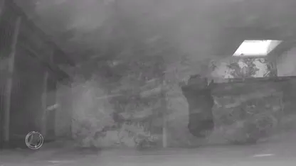 Uniek in Nederland: Maleise beren zetten twee jongen op de wereld