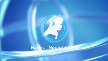 Grote rookwolken boven Hasselt door uitslaande brand in scheepswerf