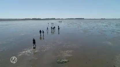 Wadlopen is booming in coronazomer