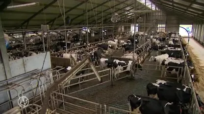 Waarom voert boer Roy Meijer actie?