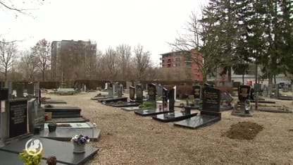 Cor's broer werd opgegraven in zoektocht naar Tanja Groen