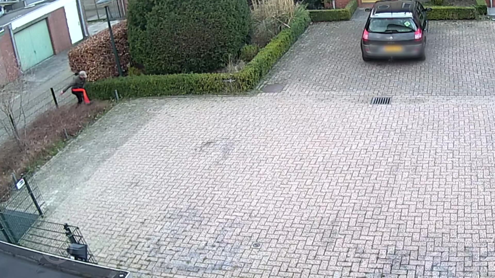 Gezocht: gewelddadige straatrover 86-jarige dame in Geldrop