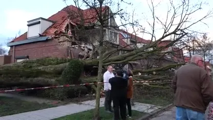 Omgewaaide boom slaat deel uit woning in Brunssum