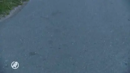 Gemeenten roepen inwoners op: 'Ga niet in je eentje hardlopen'