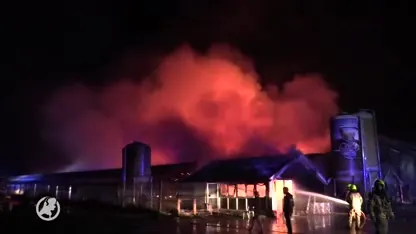 Grote brand verwoest kippenschuren in Barneveld