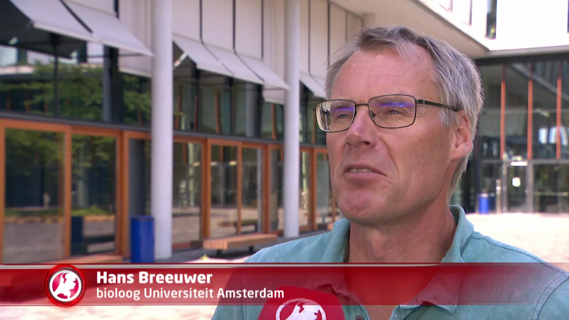 'Wespenoverlast groter dan vorige jaren'