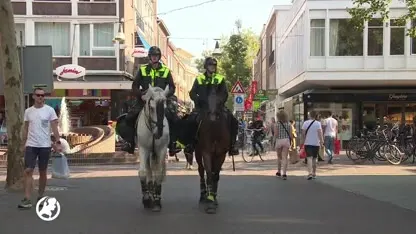 Politie bevestigt: voetbalsupporters wilden naar Enschede komen voor knokpartij