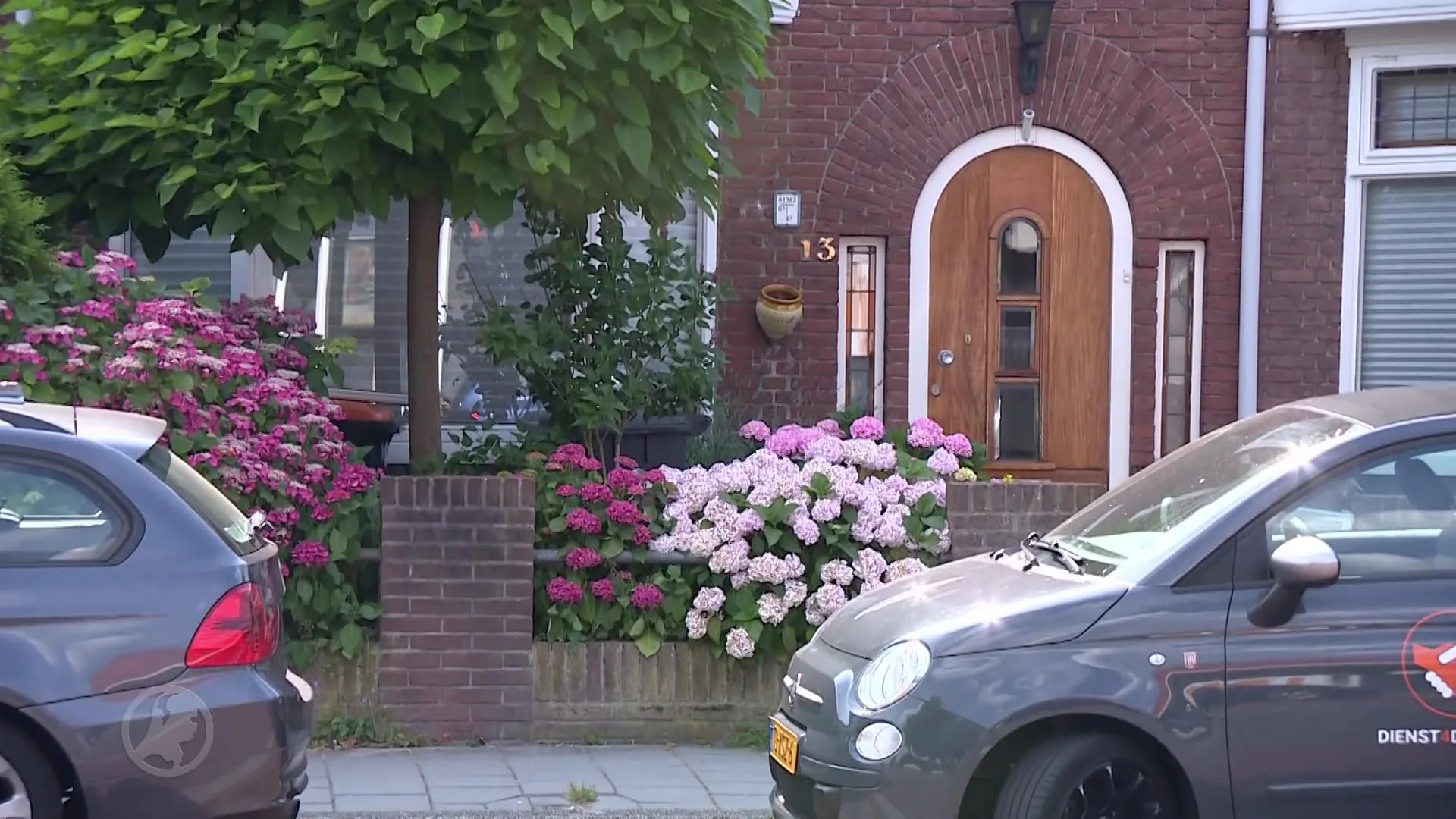 Python van twee meter spoorloos