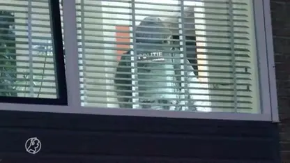 Negen arrestaties bij grootschalig onderzoek naar cocaïnehandel Vlissingen